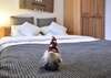 hotel_img